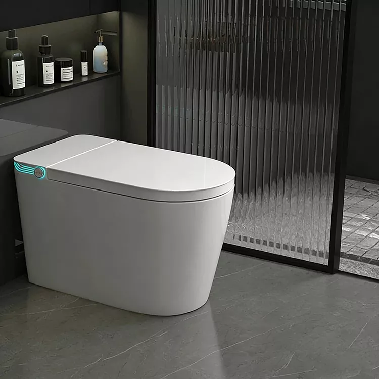 Vezeték nélküli, távirányítású szórófejes sterilizáló intelligens WC